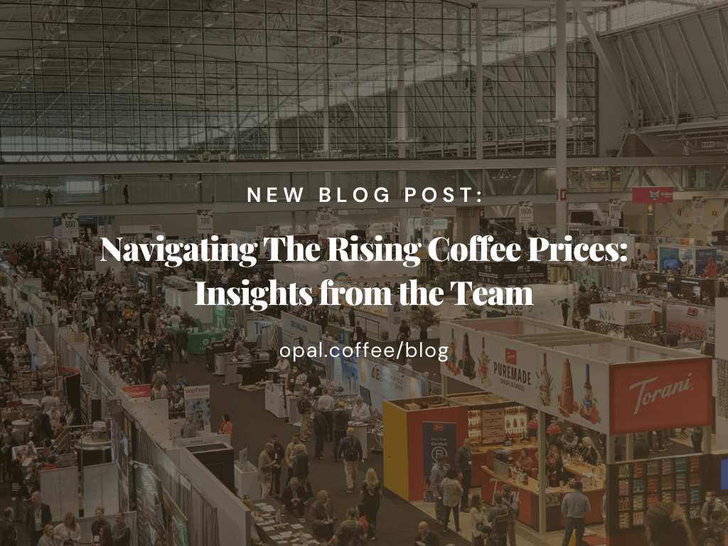 Navigating-The-Rising-Coffee-Prices-Insights-from-the-Team