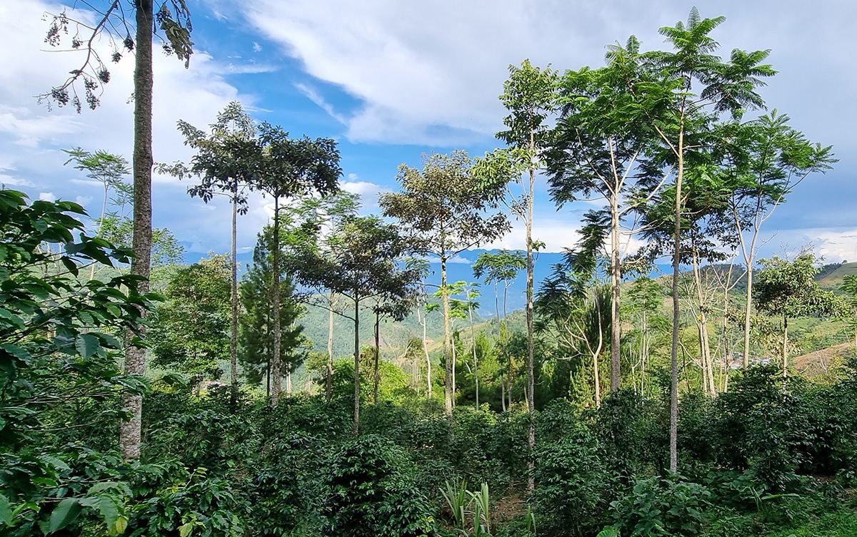 Our-Origin-Trip-to-Peru
